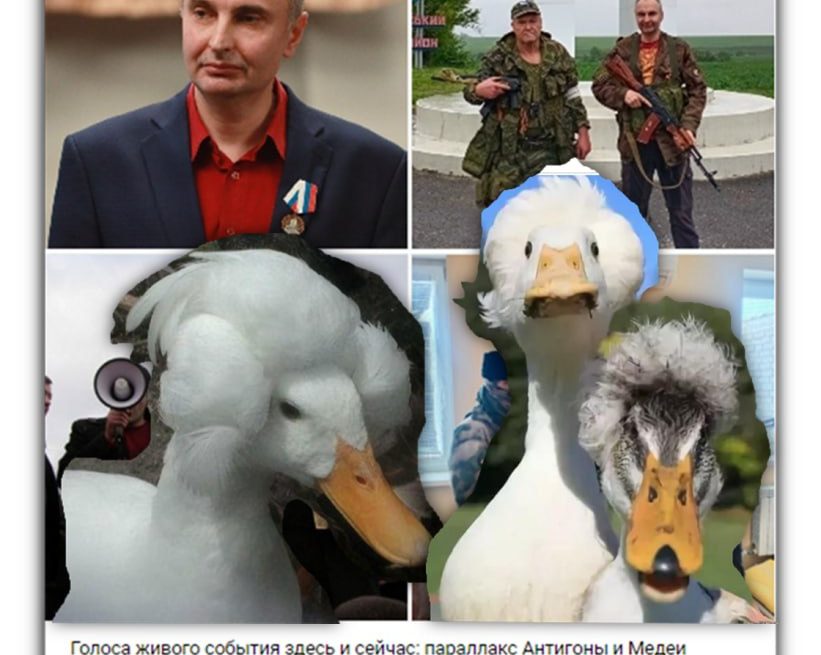 c05ecac33a0ea60658fd918ccff69c912b4aa091 🦆🦆🦆Тригусиный тандем РХГА – Е.Бильченко-С.Моисеев-Д.Богатырёв