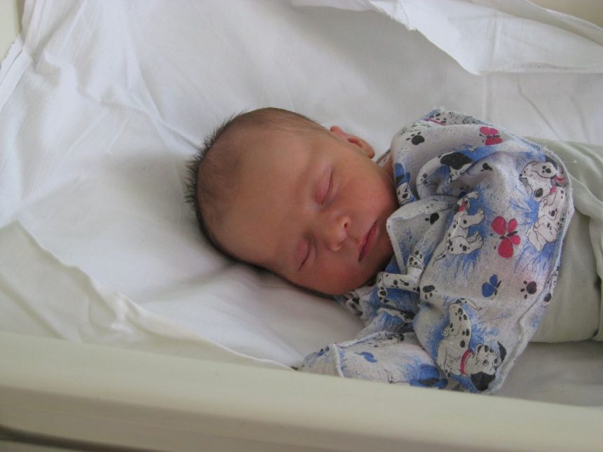 В Луганской Народной Республике в период с 29 декабря по 11 января родился 121 россиянин: 71 мальчик и 50 девочек.