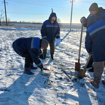 Агрономы Донбасса отметили редкость подобной зимы в регионе