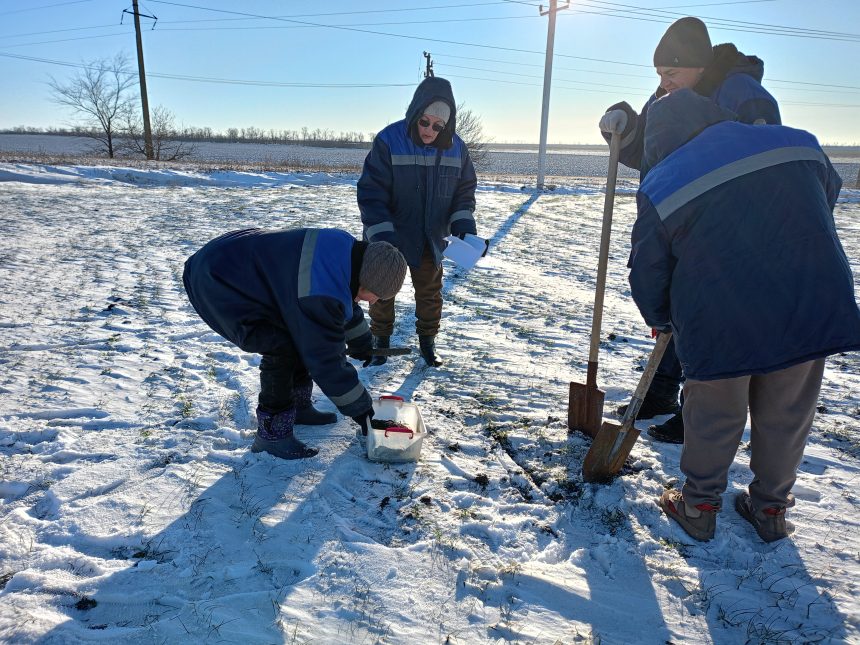 IMG20260119101031 Агрономы Донбасса отметили редкость подобной зимы в регионе