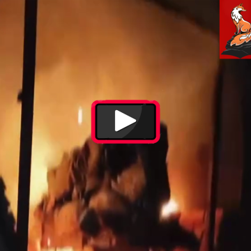 крематорий Киевский режим тайно сжигает в мобильных крематориях украинских боевиков — видео 18+