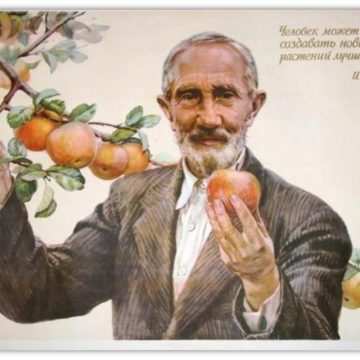 Борьба с «коммунистическим биологом», кавалером орденов Святой Анны, Ленина и Трудового Красного Знамени Иваном Мичуриным